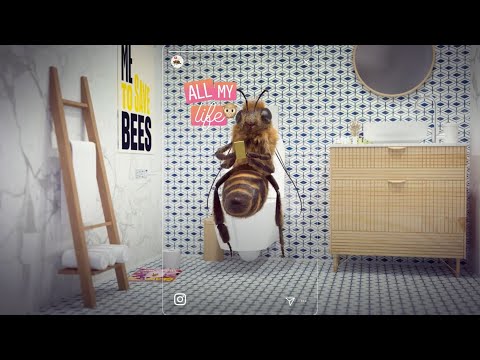 インフルエンサーが、ミツバチになった理由 / FONDATION DE FRANCE「BEE_INFLUENCER」