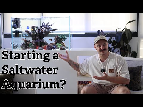 Tips from a marine scientist for starting a saltwater reef aquarium.