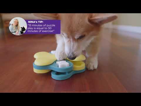 Nina Ottosson Dog Tornado Interactive Doy Toy Puzzle for Dogs, Wood,  price tracker / tracking,  price history charts,  price  watches,  price drop alerts