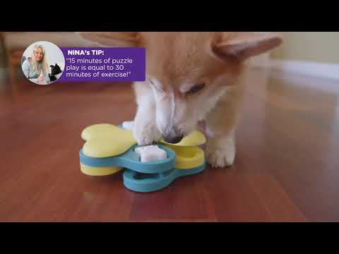 Nina Ottosson Twister Interactive Dog Treat Puzzle Toy, Level 3 — Ellington  Agway