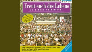 Lustig ist das Zigeunerleben