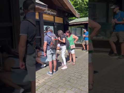 11.08.2023 : Visite Stëmm Hollerich Eifelpark