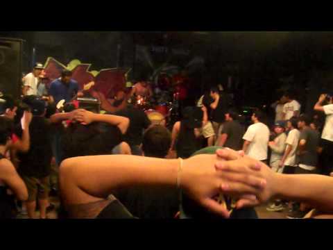 Afflictive Nature "Off My Chest" cover/ Fight!
