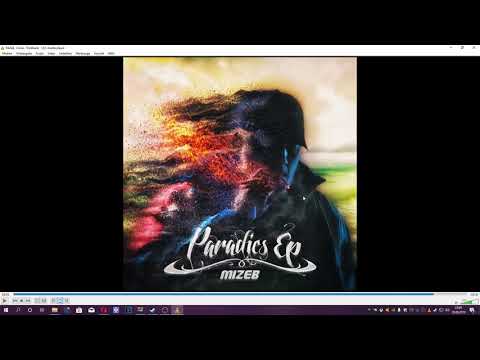 MiZeb PARADIES EP REACTION