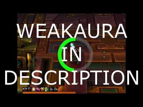 Mythic: Orgozoa - 60 Second Guide - Raid Addicts