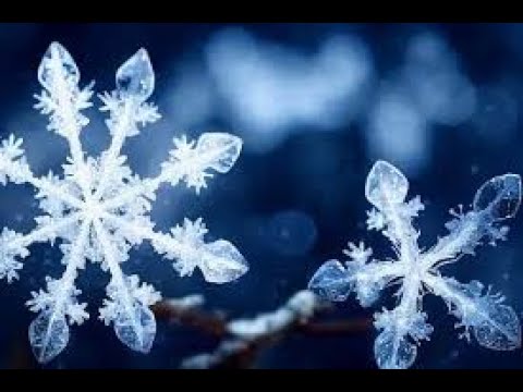 FAHS WINTER All-Music Combo Concert 12.14.25