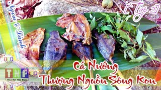 preview picture of video 'Cá Nướng Thượng Nguồn Sông Kon- Ngon & Lành 2018 [Tập 2] | Tây Nguyên Food'