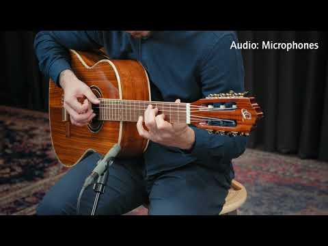 Ortega RE30TH-ACA 30th Anniversary - 4/4 classical guitar image 11
