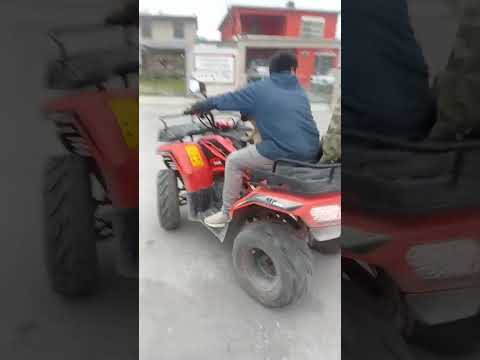 #fuerzaregida #perritostiernos #mascota #perrita #cuatrimotos #motomami #perritos #mascota #family