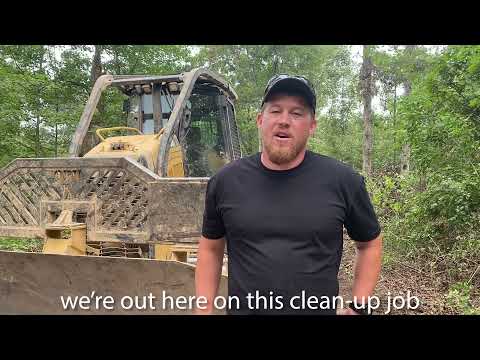 Cleanup Process after a Timber Harvest