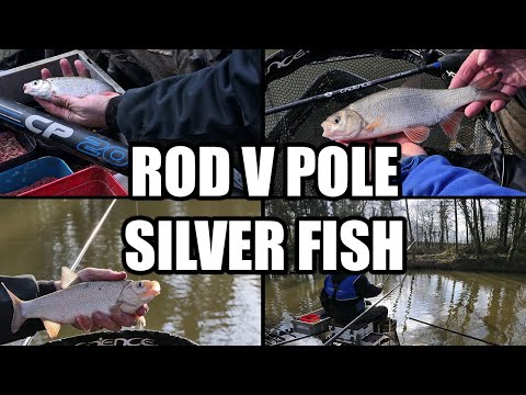 Waggler v Pole For Silver Fish