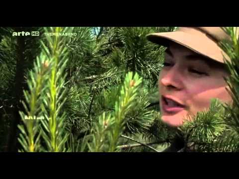 ✪✪ Tschernobyl  Prypjat die Nukleare Todeszone im Jahre 2015 HD Dokumentation ✪✪