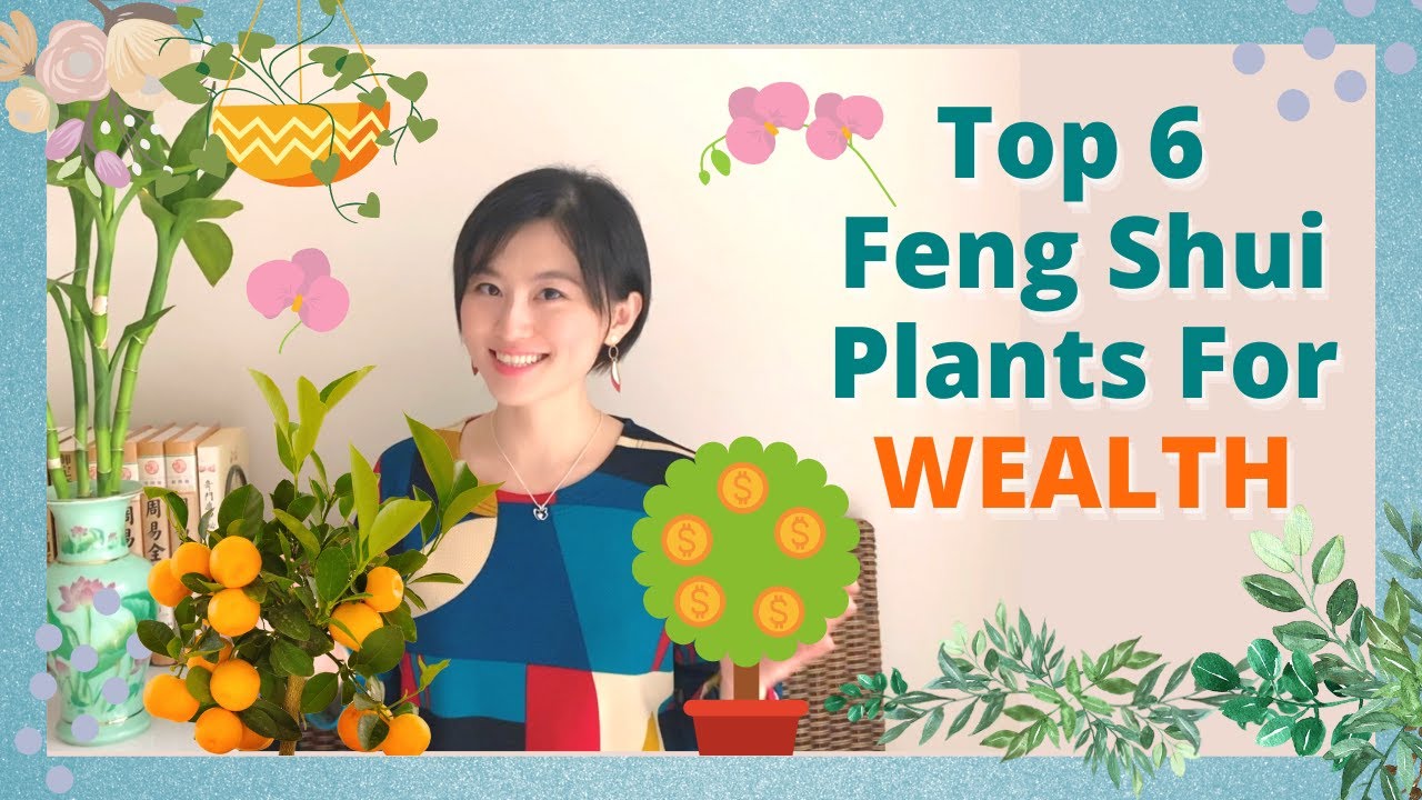 💰TOP 6 Feng Shui Plants for Wealth | Lucky Feng Shui Plants