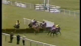 1982 Tote Treble Hurdle