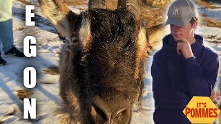 Egon - Björn Rosenström || Unofficial music video