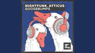Nightfunk - Goosebumps video