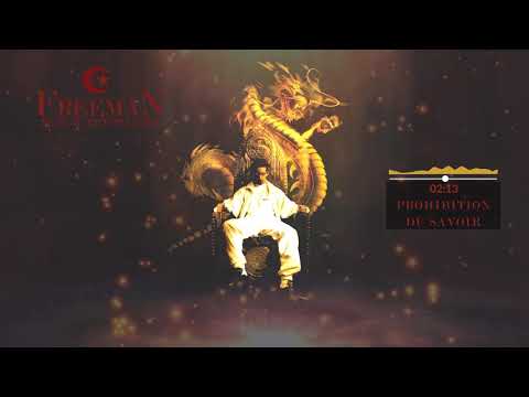 Freeman & K-Rhyme Le Roi - Prohibition de savoir (Audio Officiel)