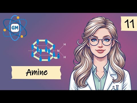 AMINE | LIVE CHIMIE ADMITERE MEDICINĂ