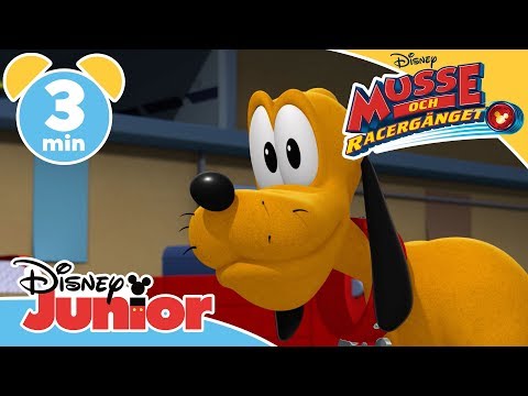 Musse och Racergänget | Pluto och den försvunna hundvalpen! 🐶- Disney Junior Sverige