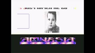 C64 Demo - Party Pooper 3 [1994] by Amnesia