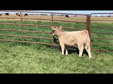 Tag 30 video