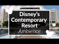 Contemporary Resort Ambience | Disney World Hotel Ambience