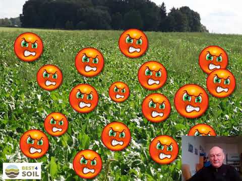 The most important soil-borne diseases in agricultural crops - Krzysztof Matkowski (PL)