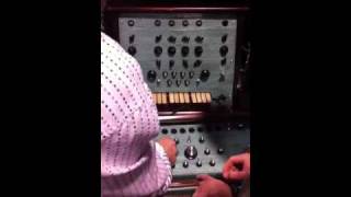 Video thumbnail for Dewanatron Swarmatron analog synth by Dj Puzzle