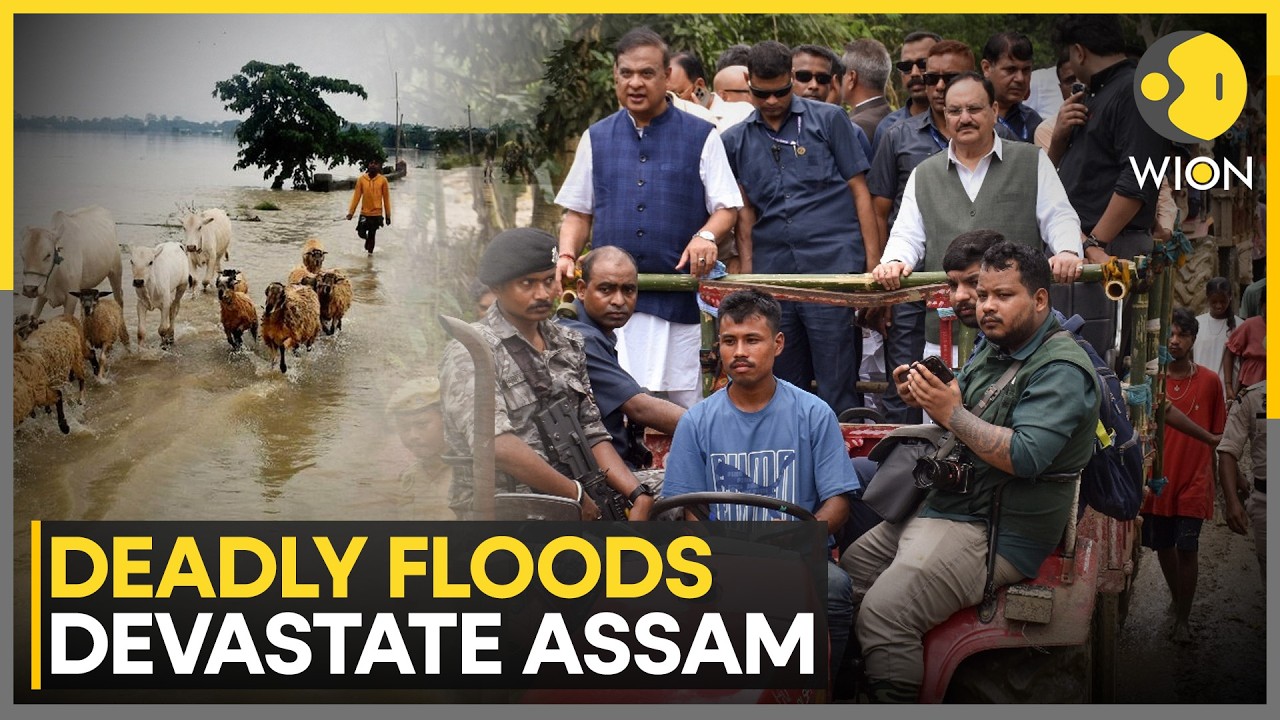 Assam Floods: At Least 14 Assam Districts On High Alert | WION News