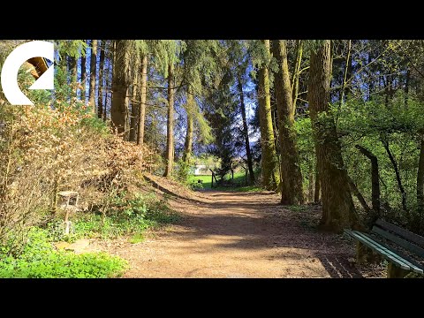 Epidemic sound instrumental mix - a walk in the spring forest and city - 4K music video