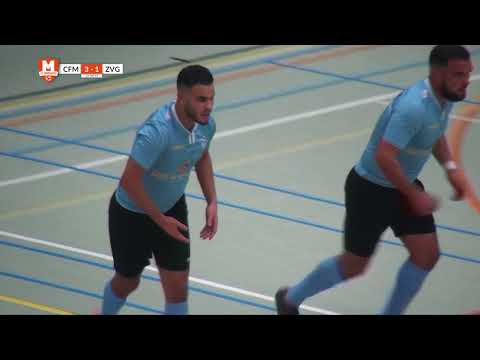 Samenvatting CFM/Transito - ZVG/Cagemax 2017/2018