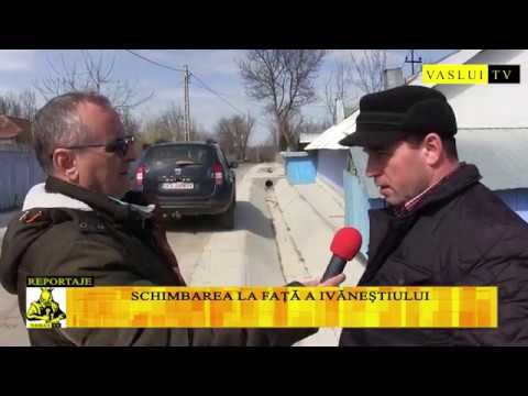 SCHIMBAREA LA FAȚĂ A IVĂNEȘTIULUI