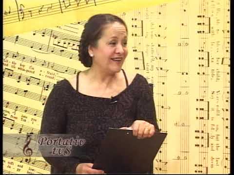 Portativ TVS - Slovacii - 27.04.2011