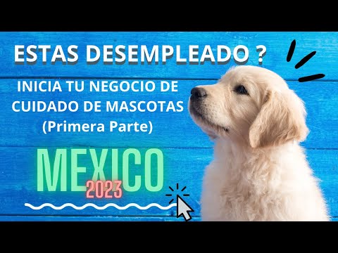 , title : 'Como iniciar tu  negocio de cuidado de mascotas en México 2023 (Primera Parte)'