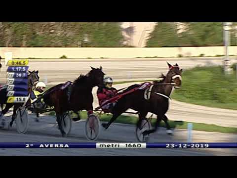 Aversa trotto 23 Dicembre 2019 - 2° Corsa