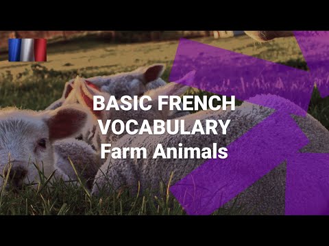 What Are the Numbers One to Ten in French