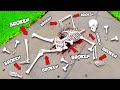 Breaking EVERY BONE As SKELETON In GTA 5!