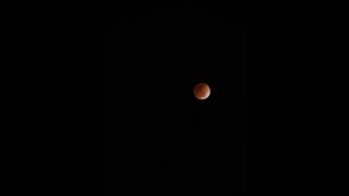 preview picture of video 'Lunar Eclipse 10 dec 2011 Time Lapse'