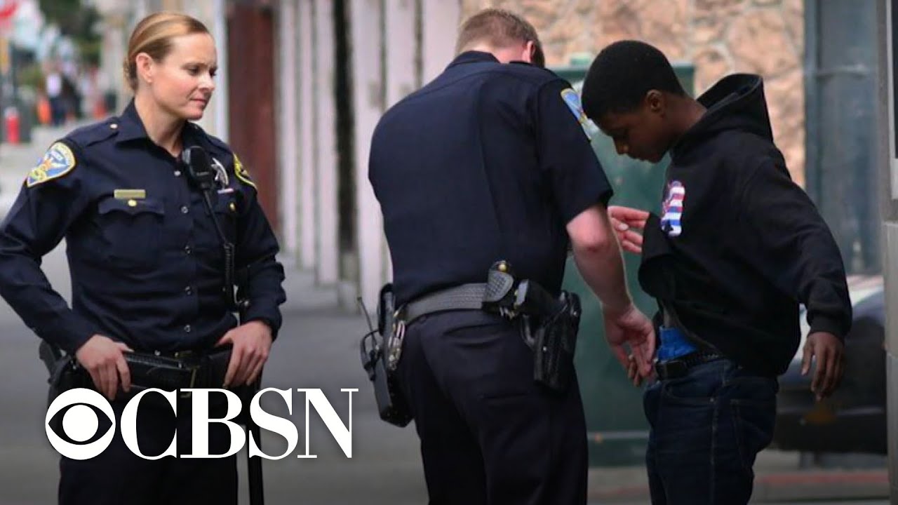 Can diversity in law enforcement reduce racially-charged police violence?