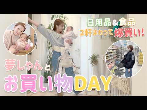 【お買い物DAY】2軒寄ってあれこれ爆買い&日常購入品紹介🛒買い物中の夢しゃんは…😴