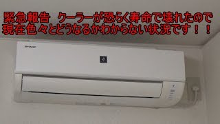 緊急報告　クーラーが恐らく寿命で壊れたので現在色々とどうなるかわからない状況です！！