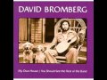 David Bromberg - Chump Man Blues (Live)