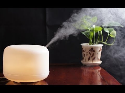 Room Humidifier - Home Humidifier Latest Price, Manufacturers & Suppliers