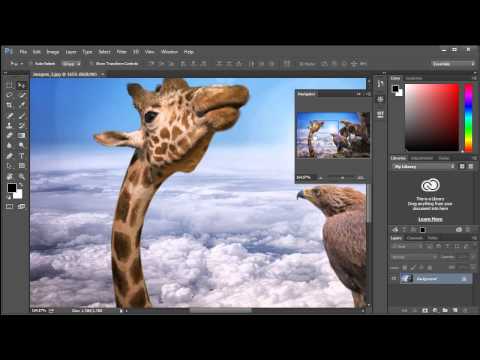 019 PS Nível Básico Navigator Painel de navegação