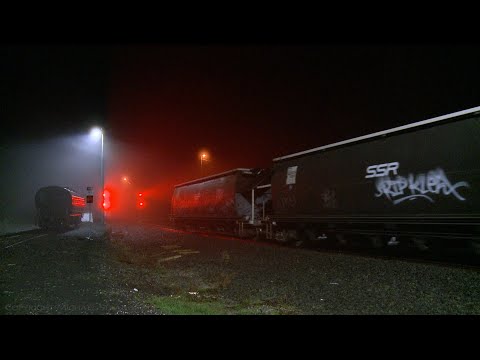 3KV1 SSR Grain Train With RL304 + 4917 + 602 + 4908 + RL306 (8/7/2020) - PoathTV Australian Railways