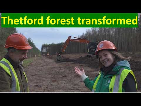 The Science Behind Open Habitat Restoration