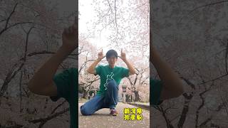 #sakura #japan #shorts #松阪牛 #新潟県 #桜 #三重県 #ギャグ #beef