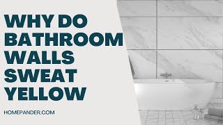 Why Do You Bathroom Walls Sweat Yellow ? ( Reasons, Solutions, Prevention)