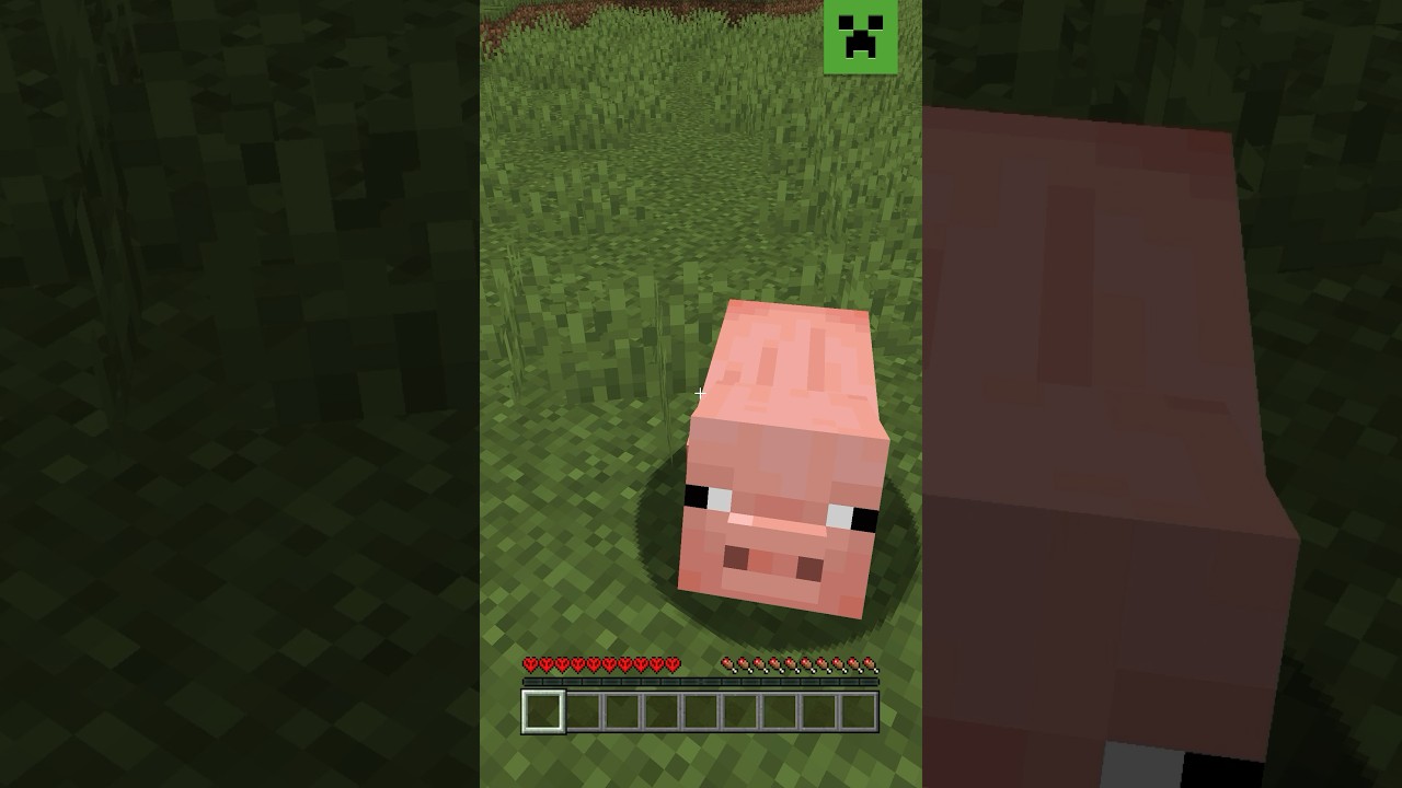 FIRST TIME IN HARDCORE MODE!