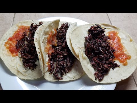 Como preparar chapulines con Chile Habanero | Las Delicias de Lupita